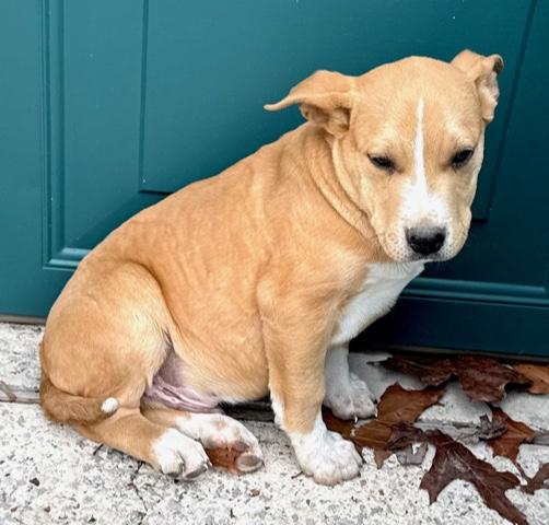 Captain Morgan Spirits thumbnail 3