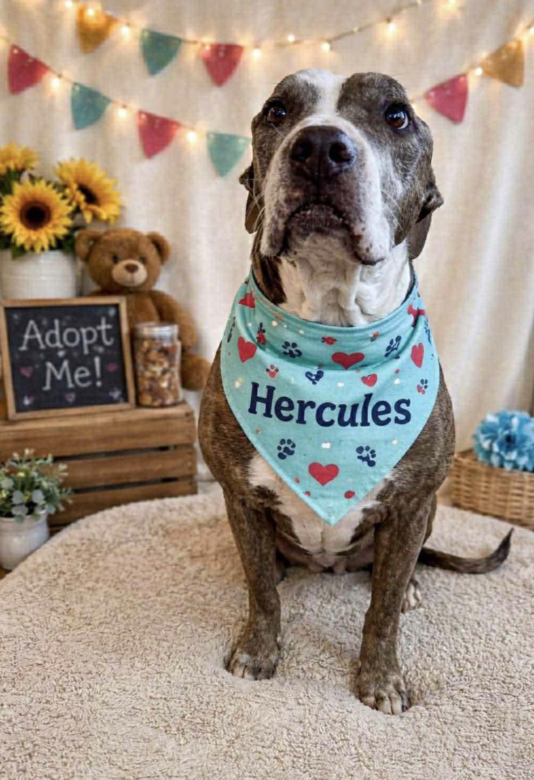 Hercules — thumbnail 2