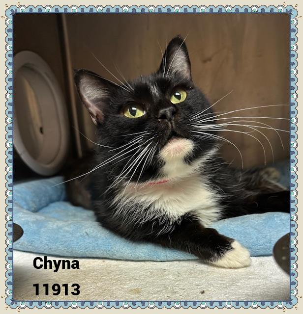 CHYNA see also LEXI