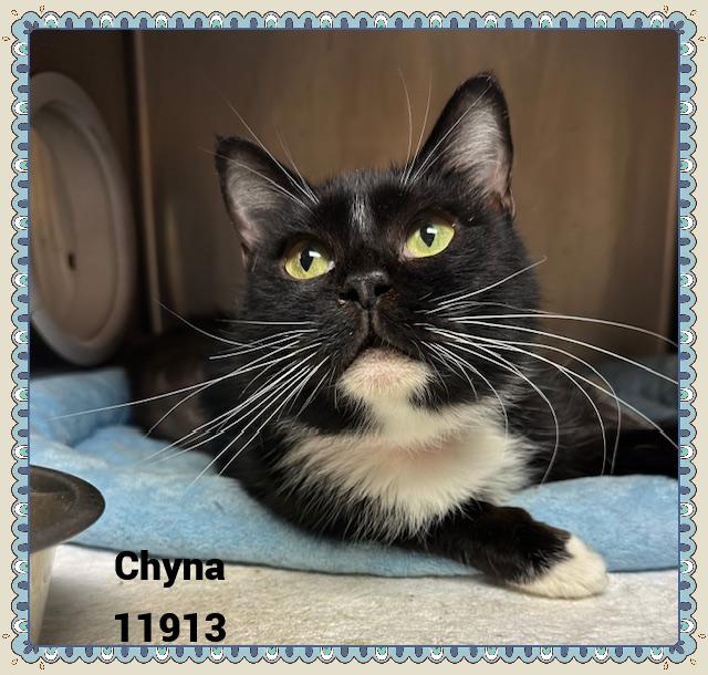 CHYNA see also LEXI