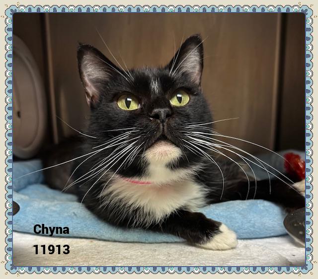 CHYNA see also LEXI