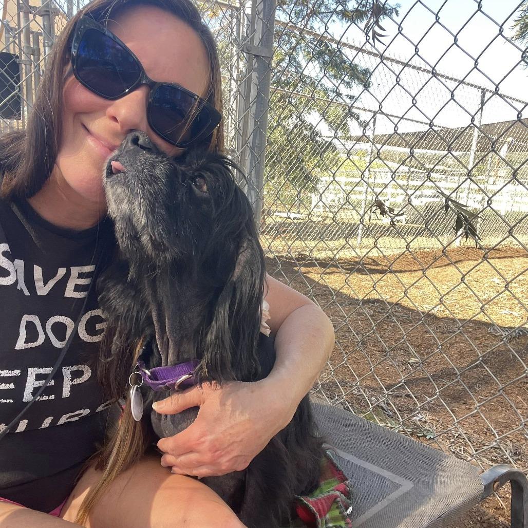 Belle — thumbnail 5