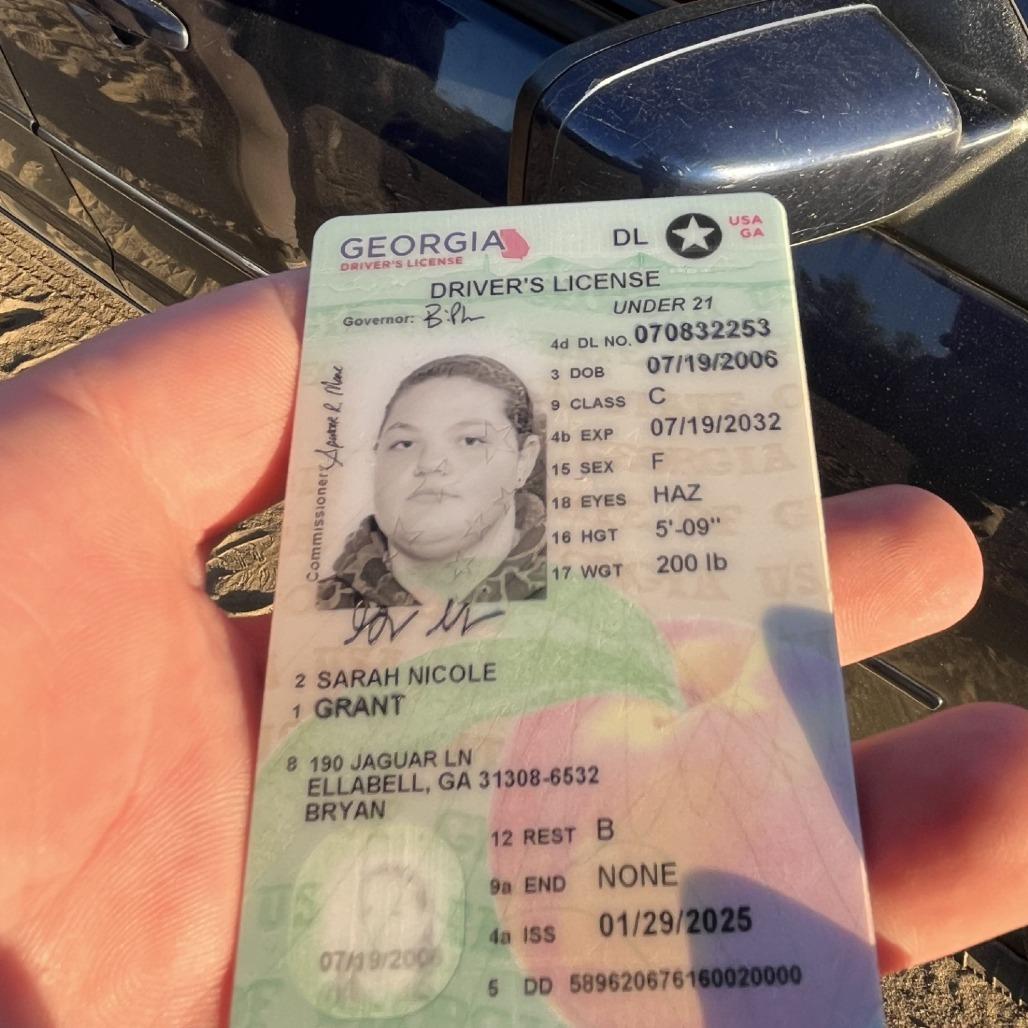 Enlarge Felix, a Adoptable Pit Bull Terrier in Richmond Hill, GA image 2/3