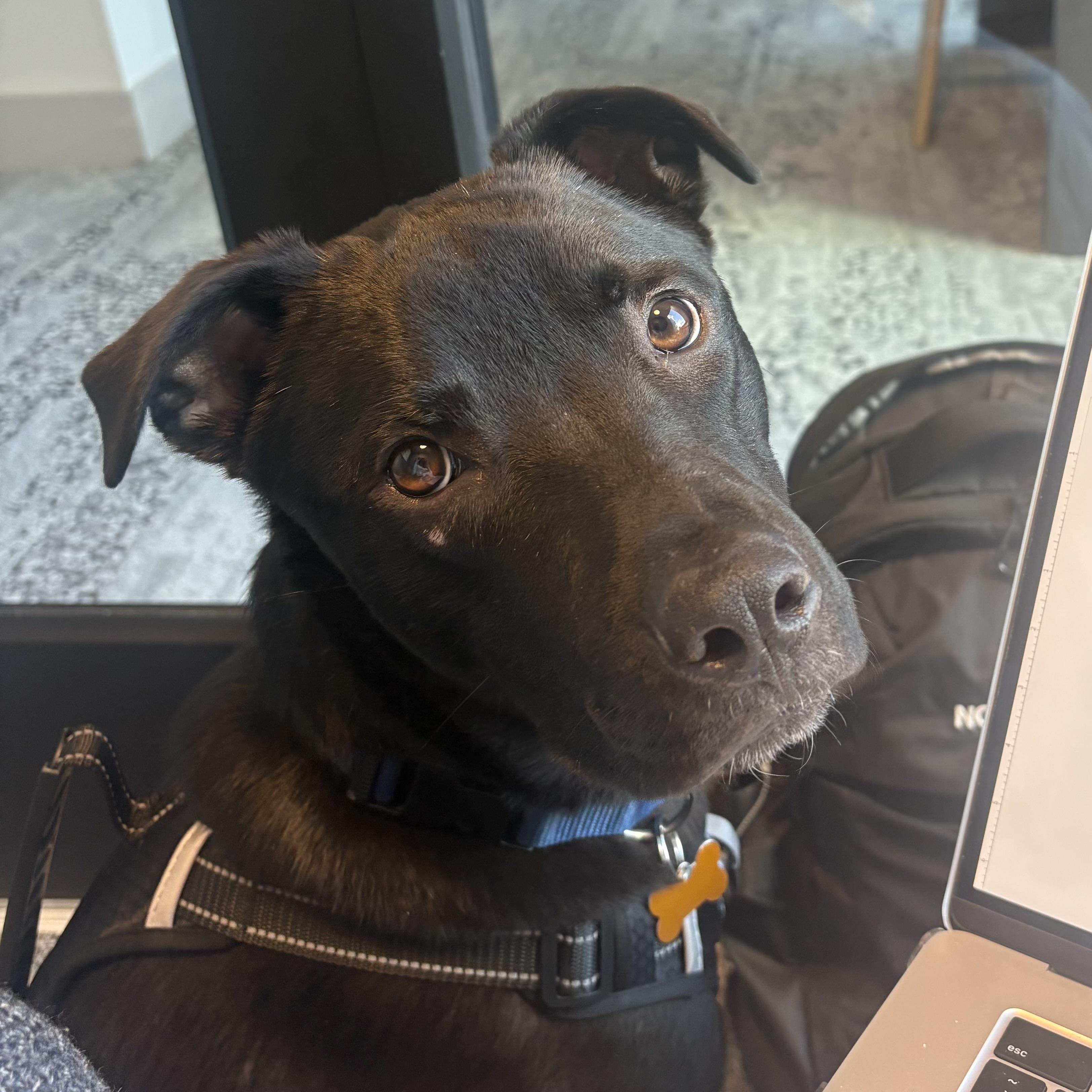 Carne Asada — thumbnail 2