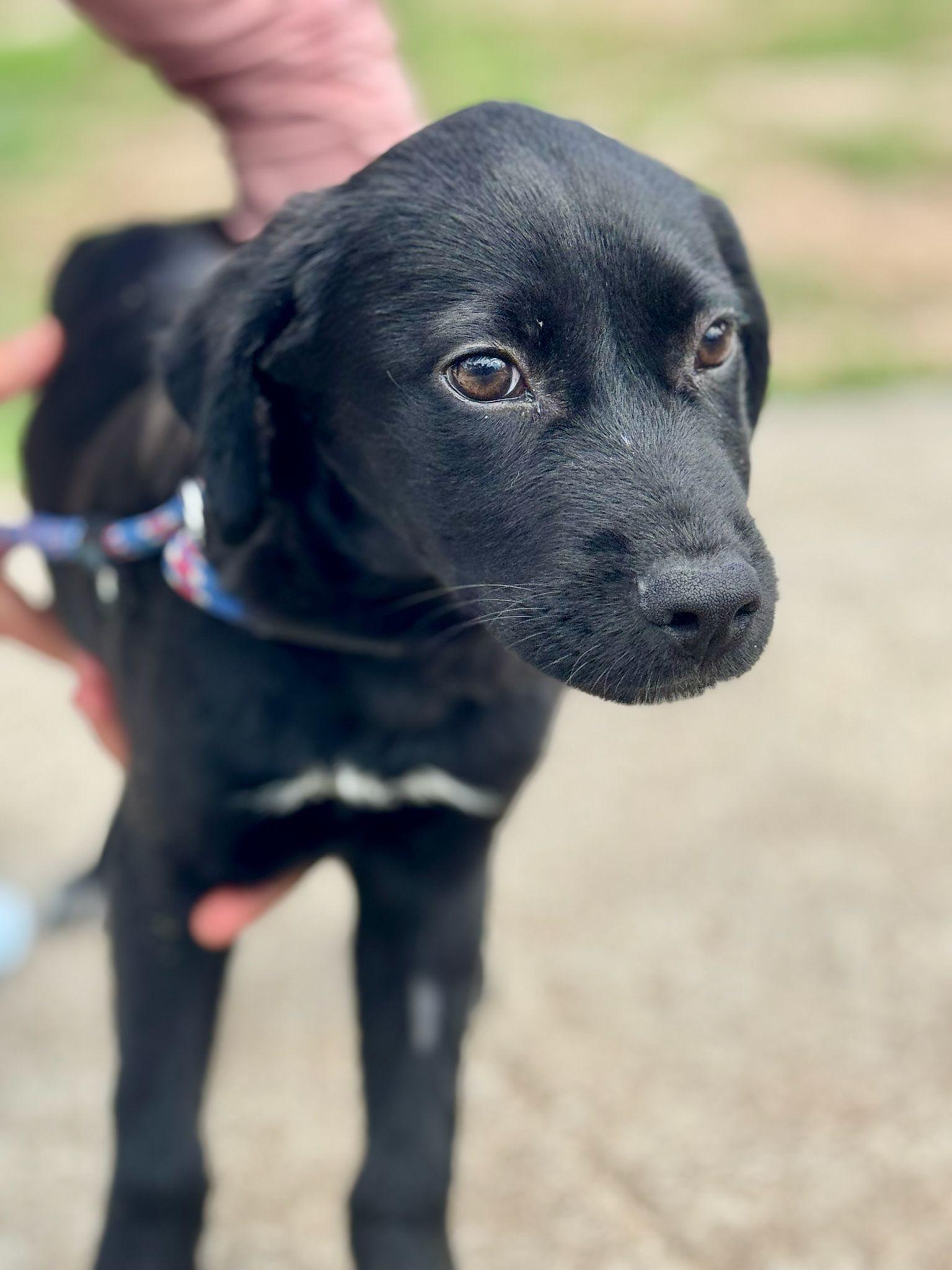 Justin (20260226-02)