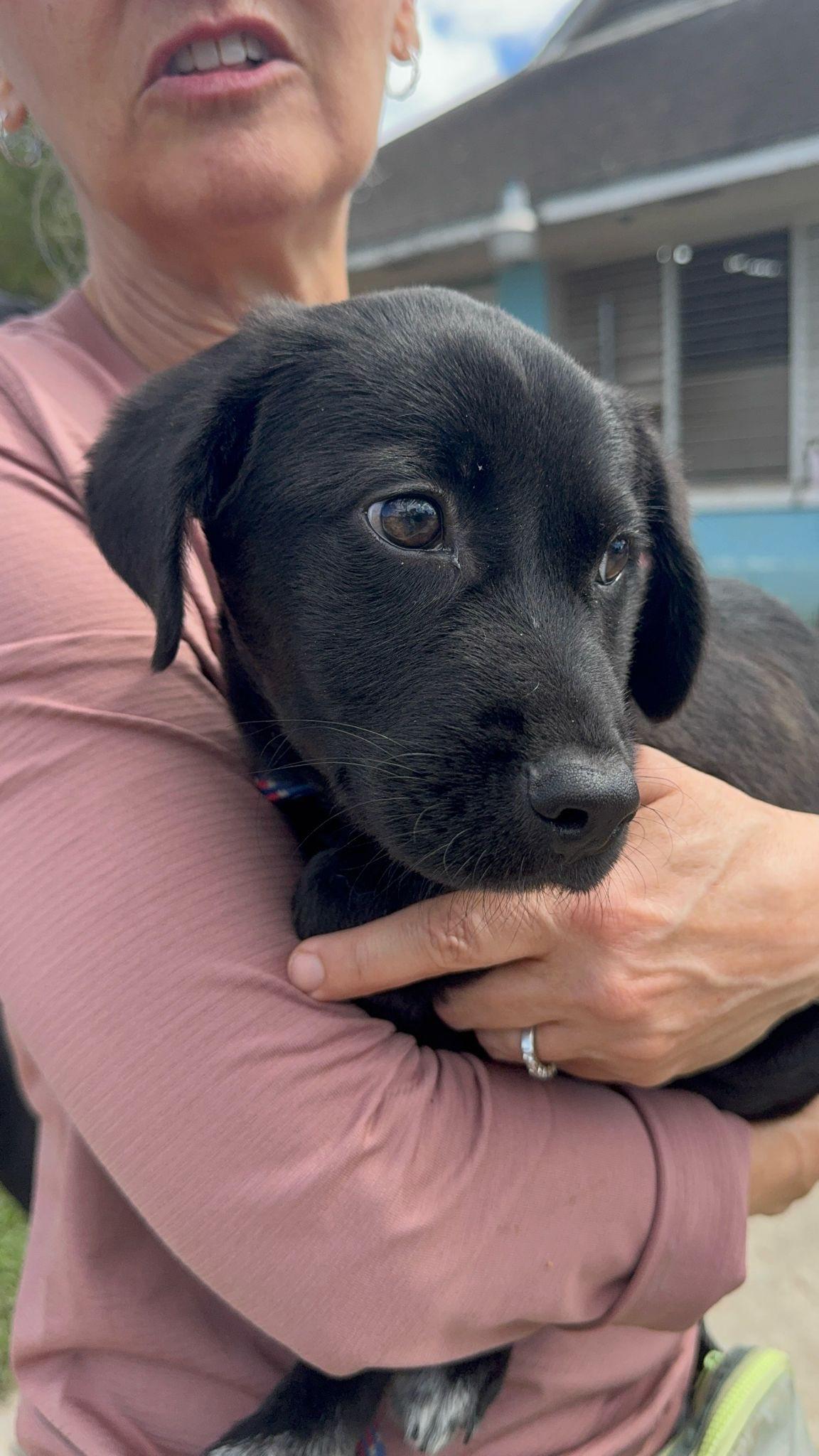 Justin (20260226-02) — thumbnail 2