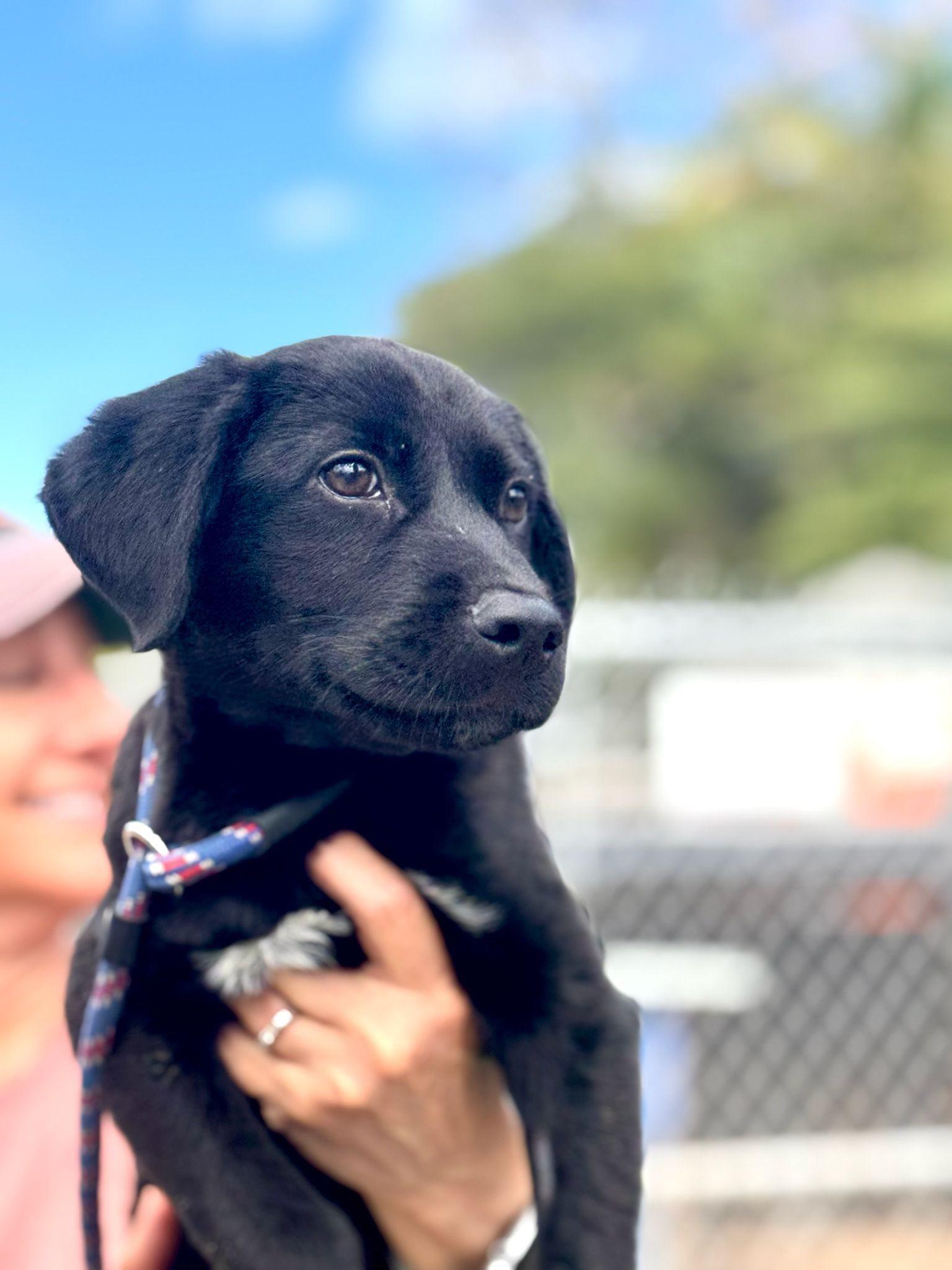 Justin (20260226-02) — thumbnail 3