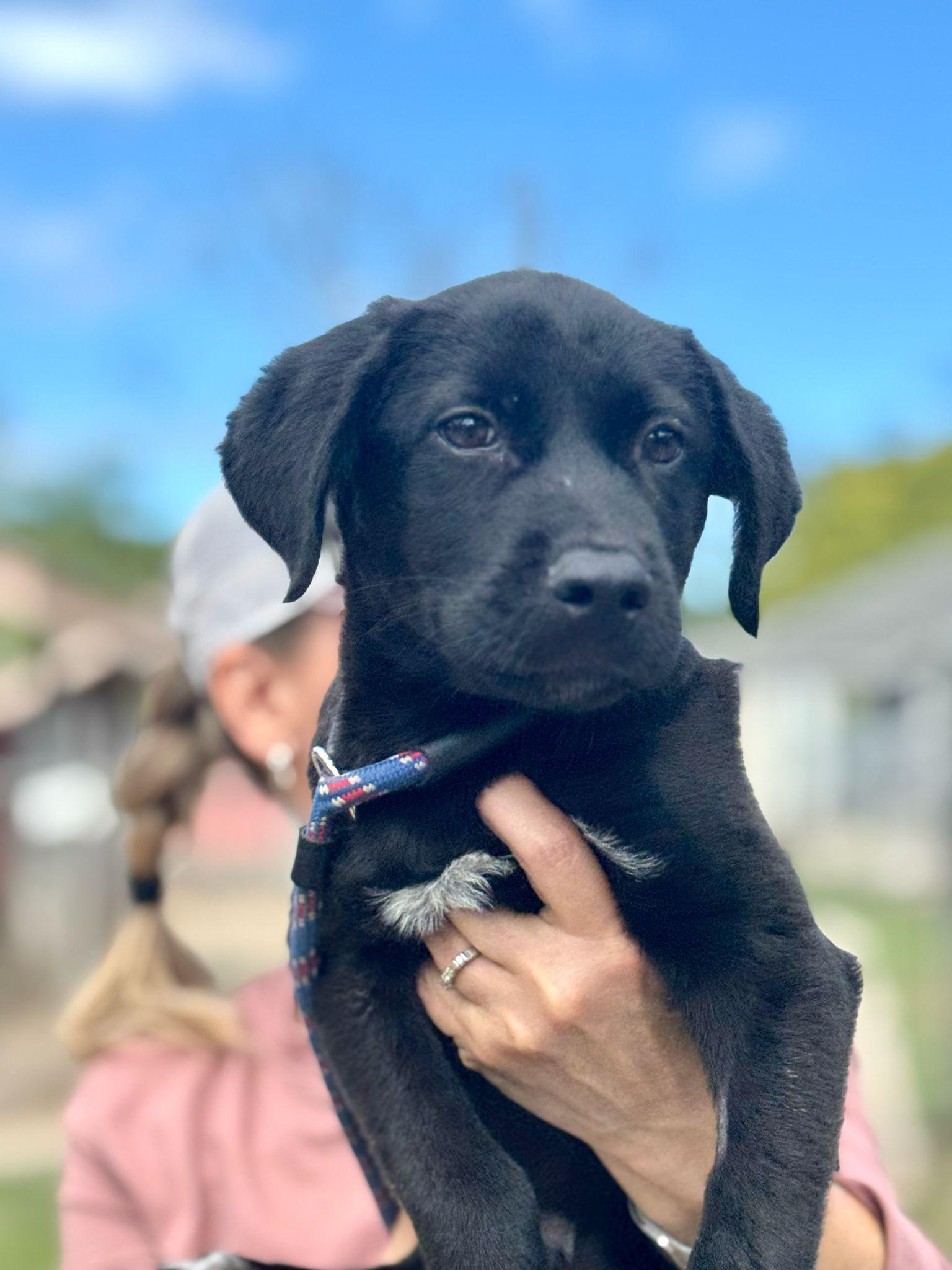 Justin (20260226-02) — thumbnail 4