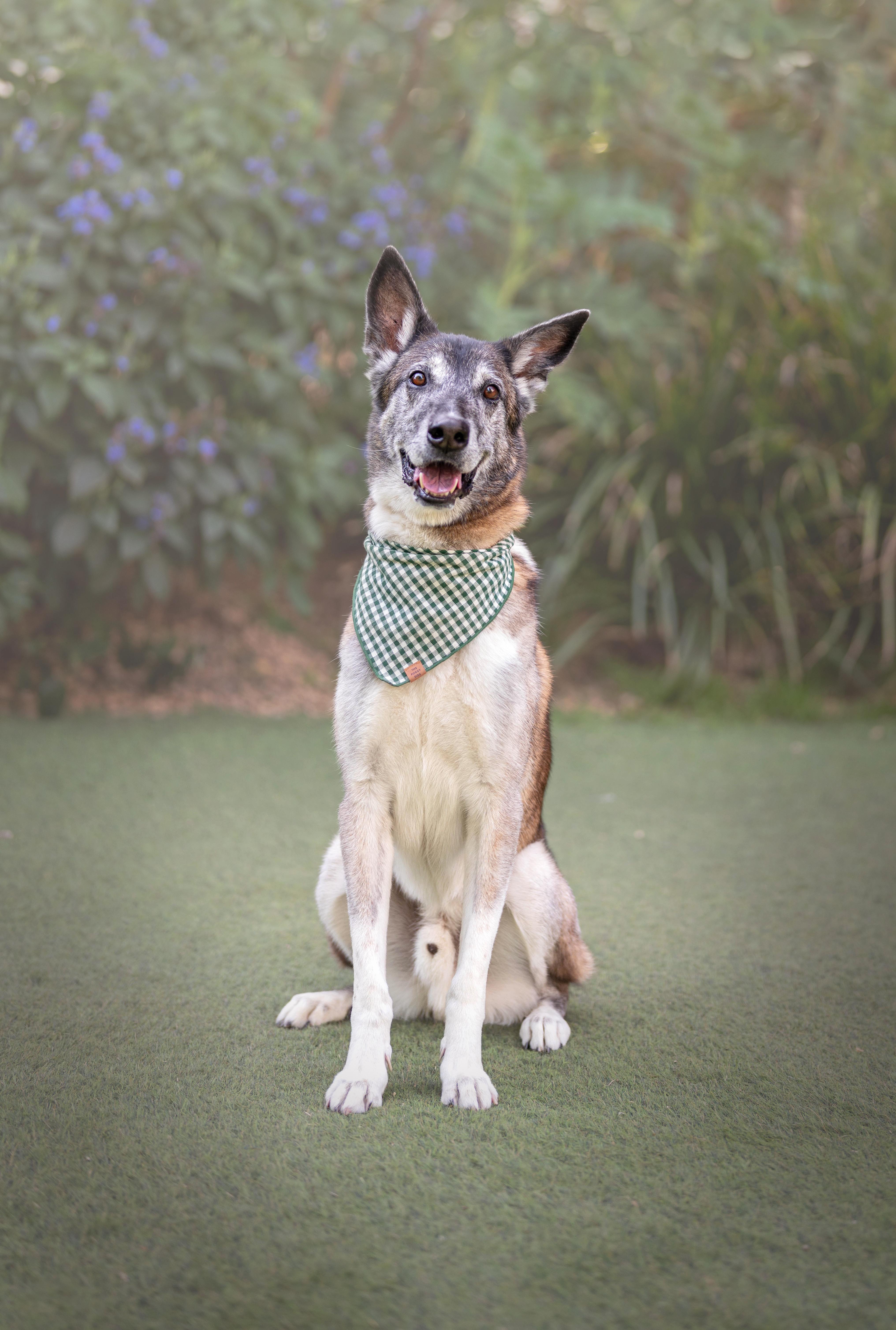 Koop Is The Best! thumbnail 2