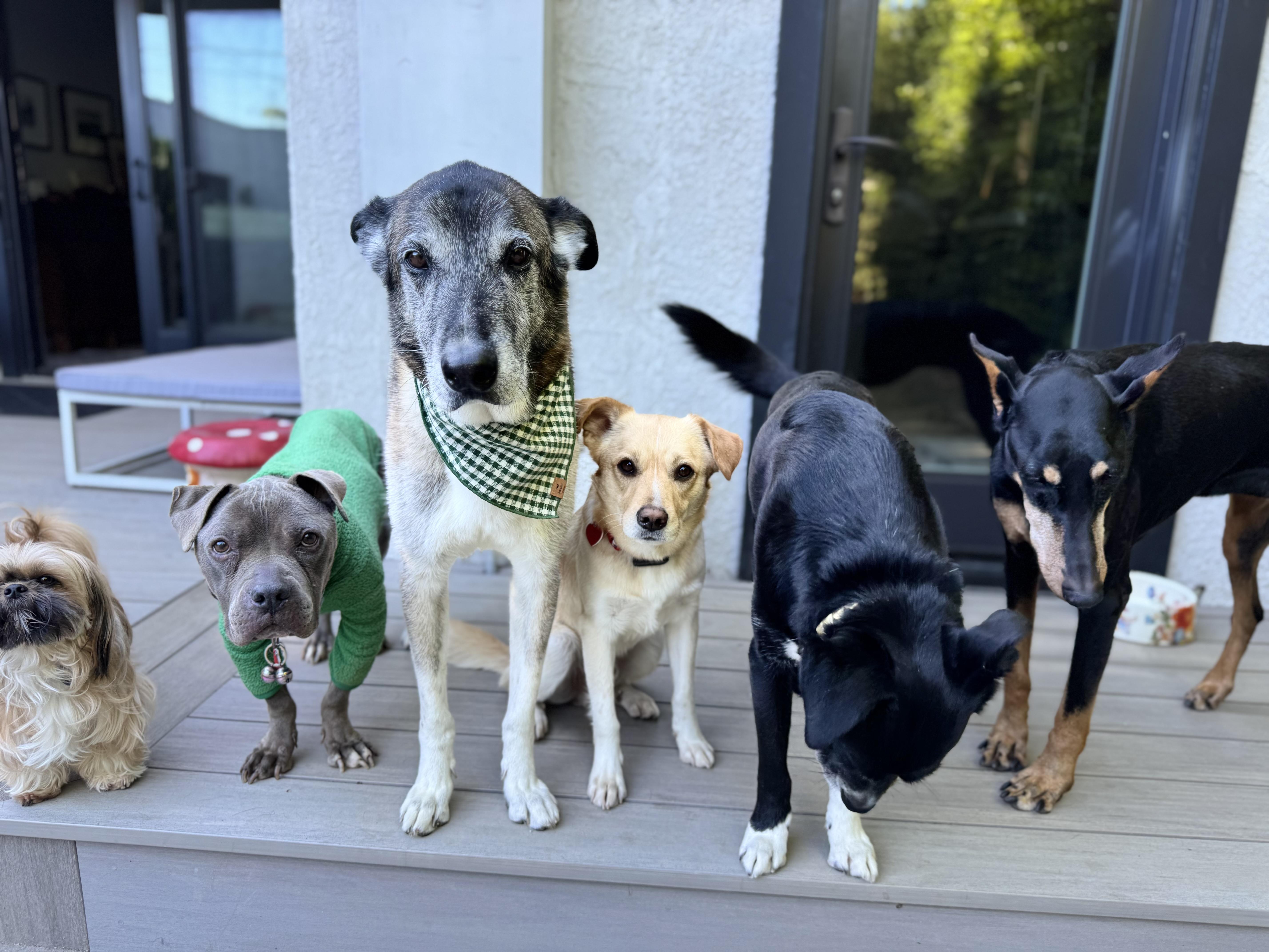 Koop Is The Best! thumbnail 4