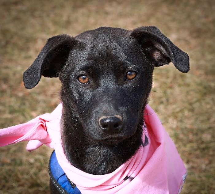 Milli — thumbnail 3