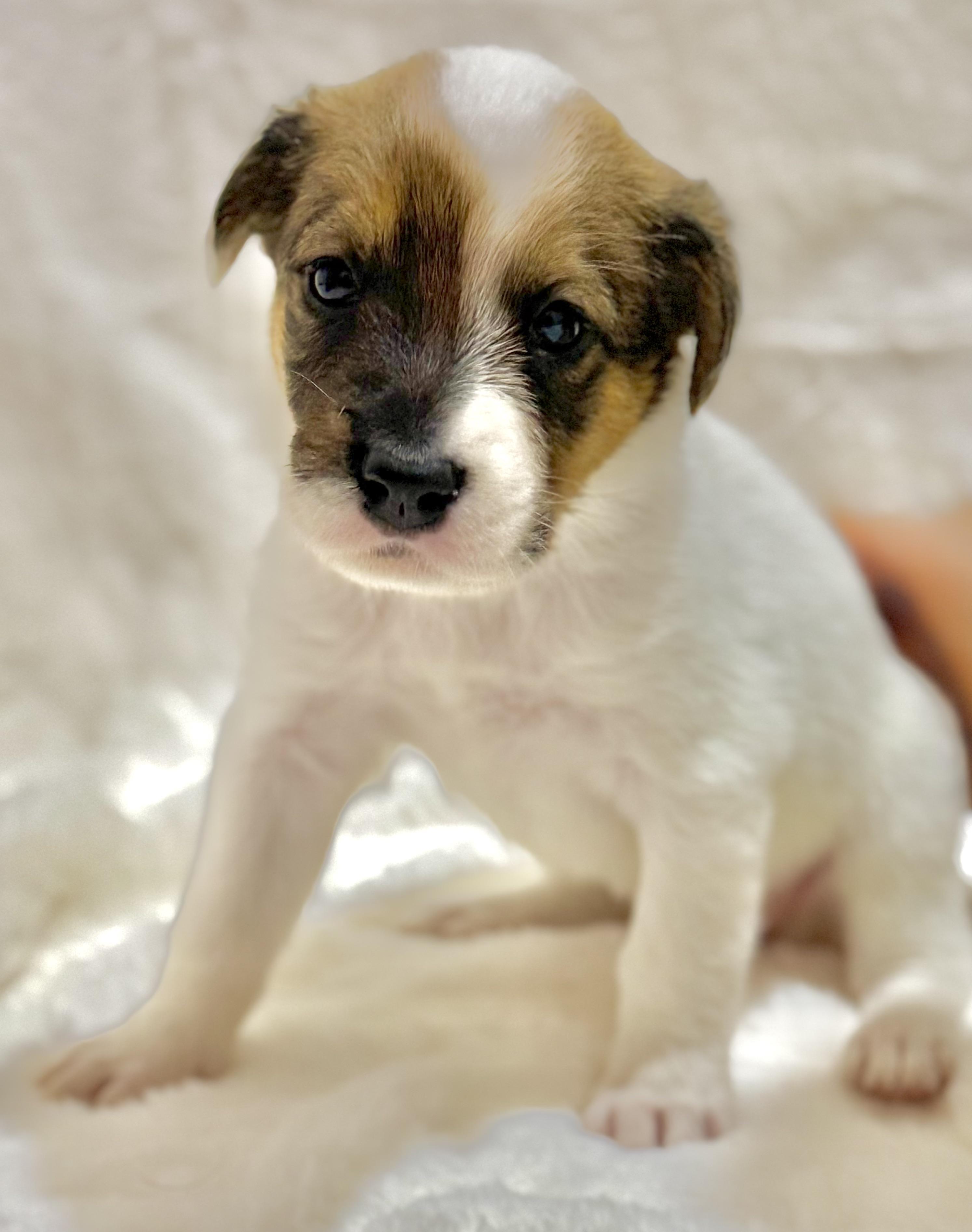 Holly — thumbnail 4