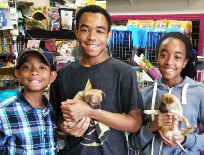 Enlarge Lenny (Purple), a Adoptable mixed breed in Helendale, CA image 3/3