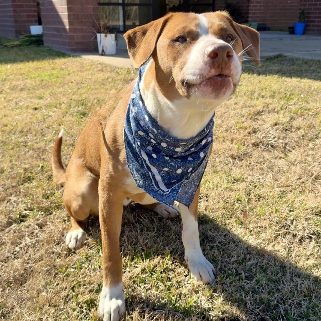 Bret — thumbnail 4