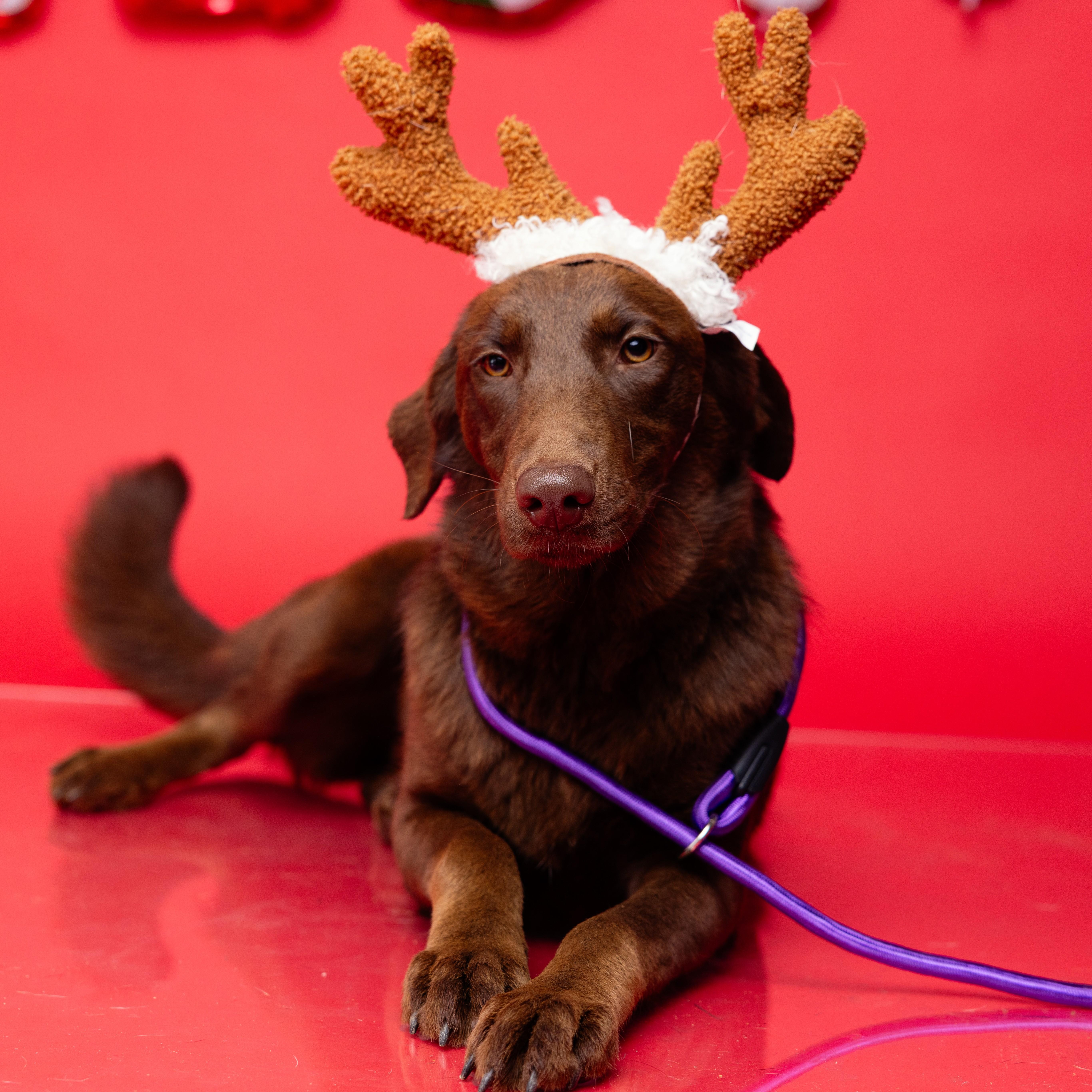 Slim — thumbnail 2