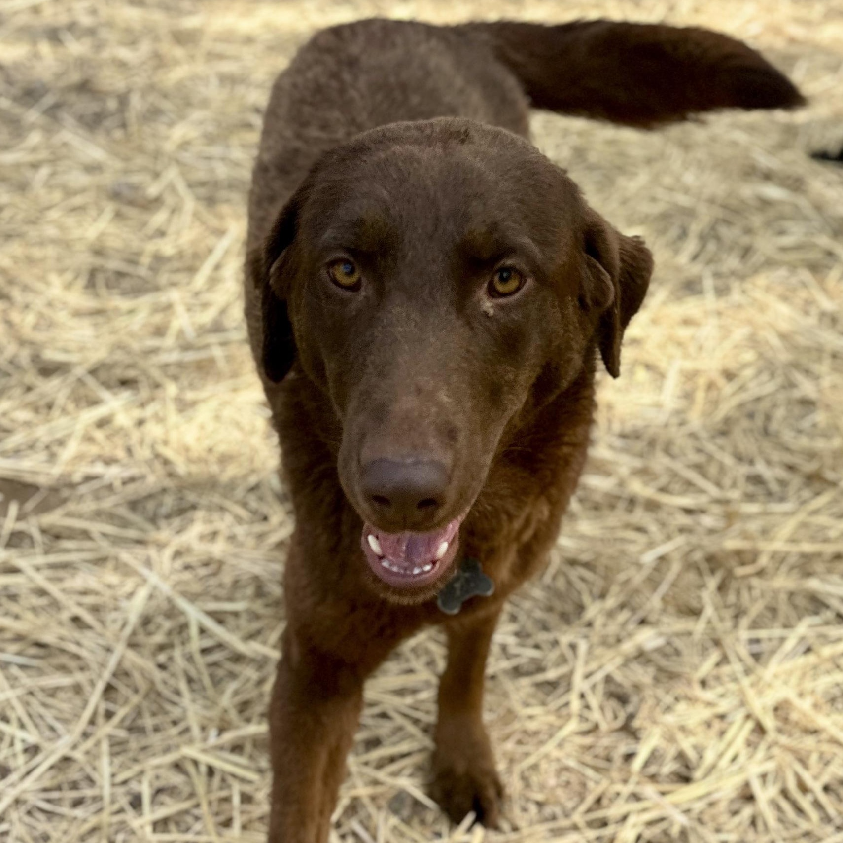 Slim — thumbnail 3