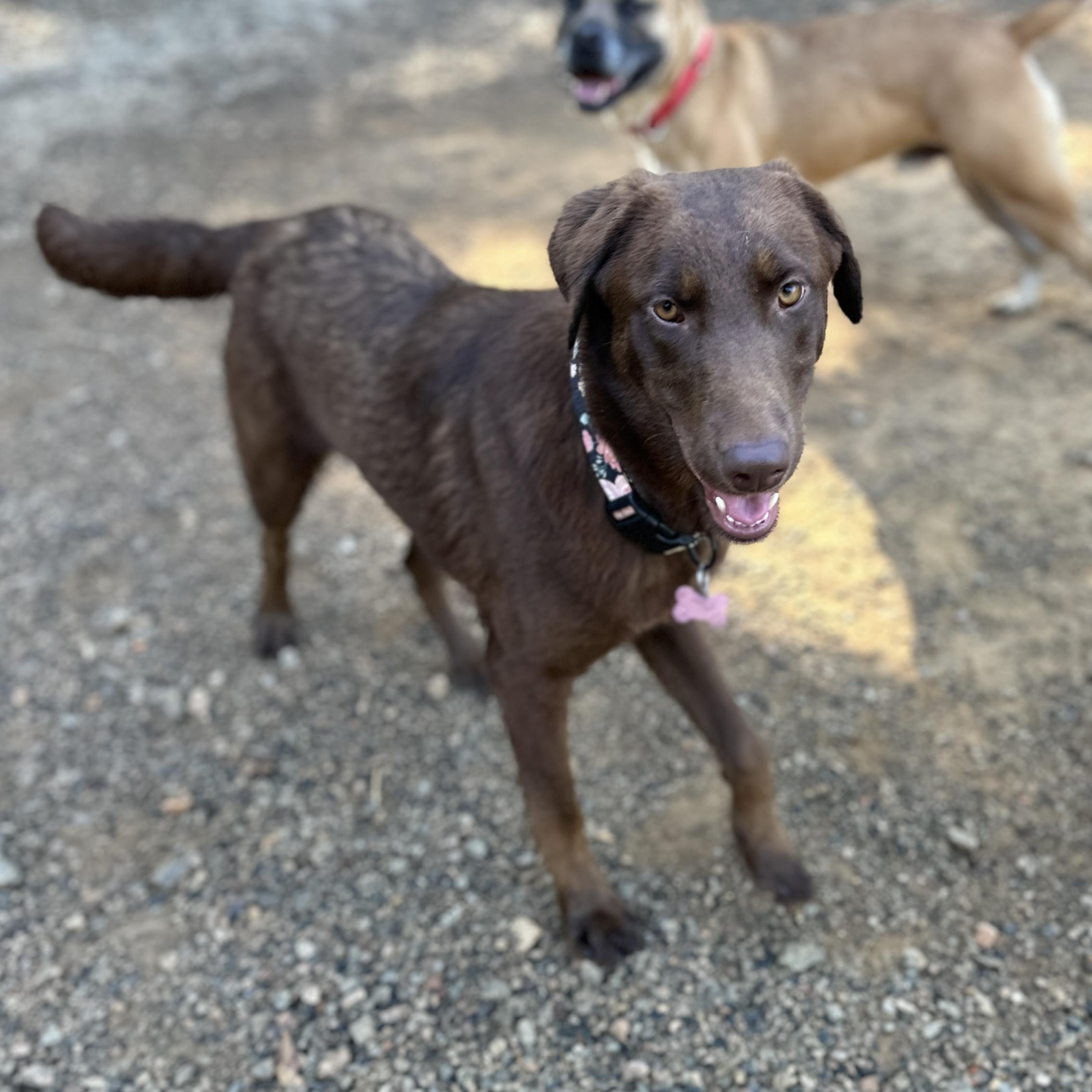 Slim — thumbnail 5