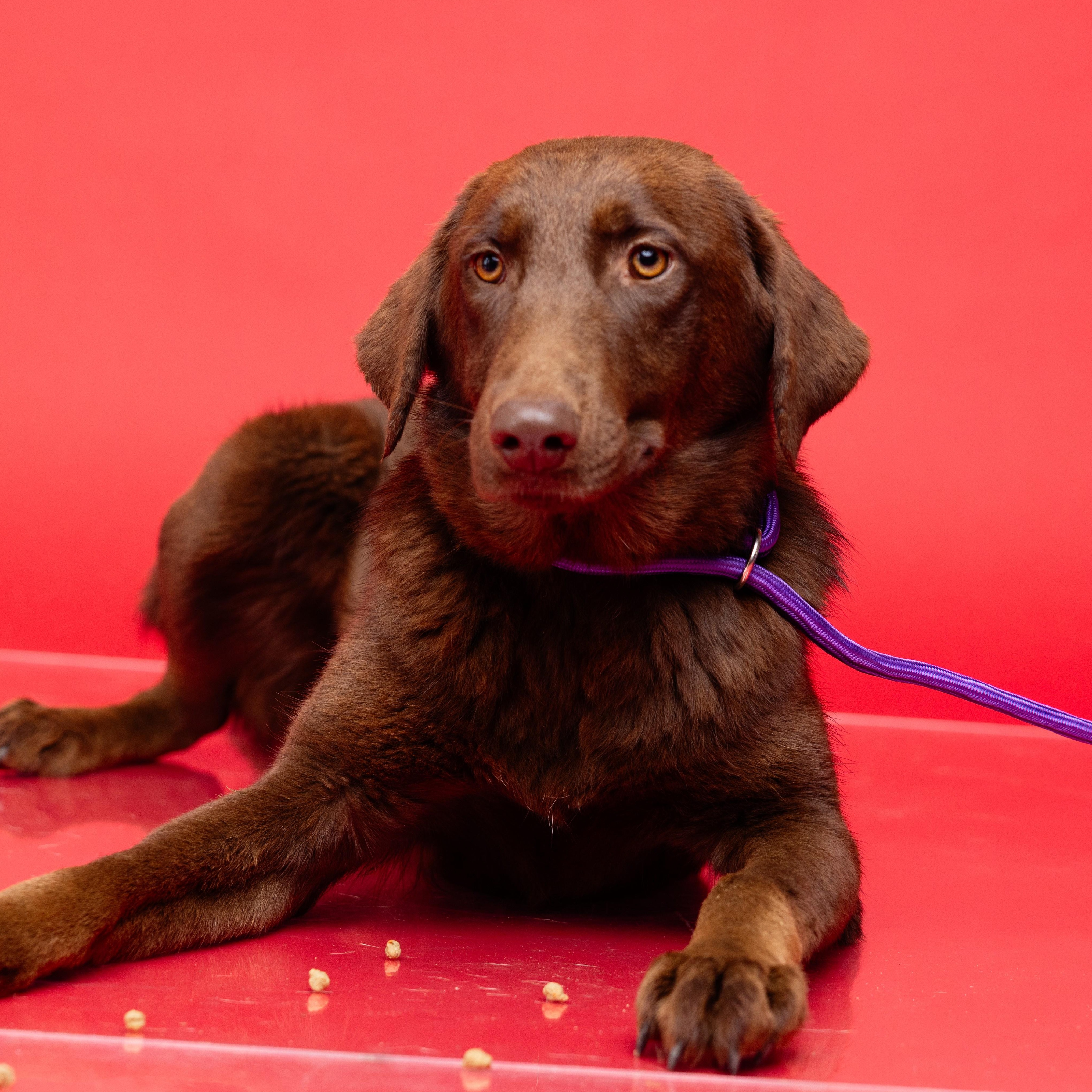 Slim — thumbnail 6