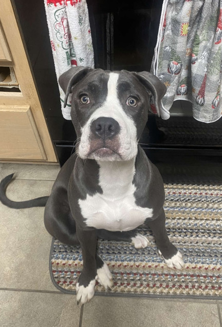 Luna (CP), Young Female unknown
