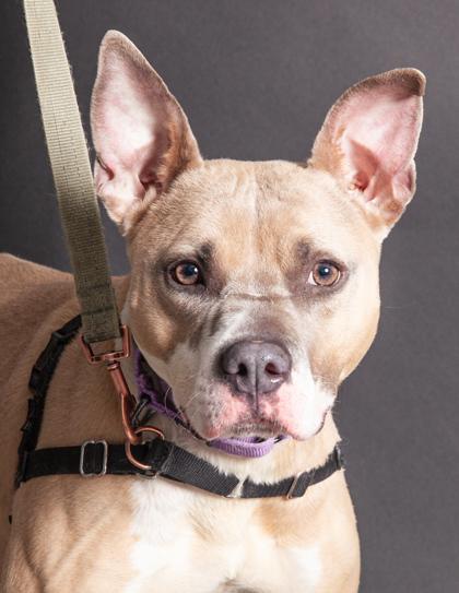 Stormi — thumbnail 3