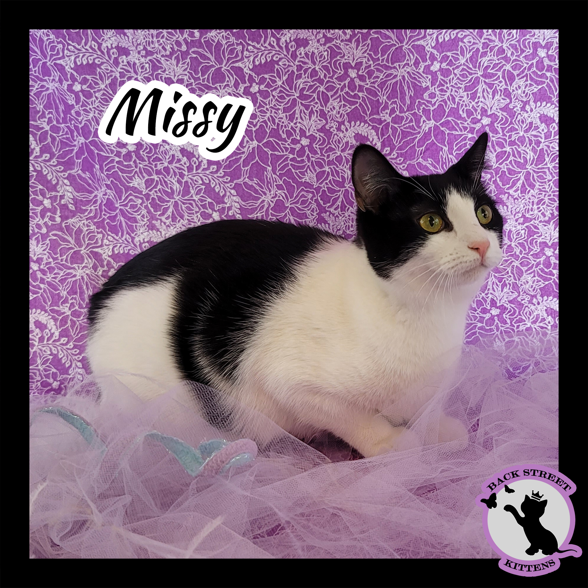 Missy photo 6