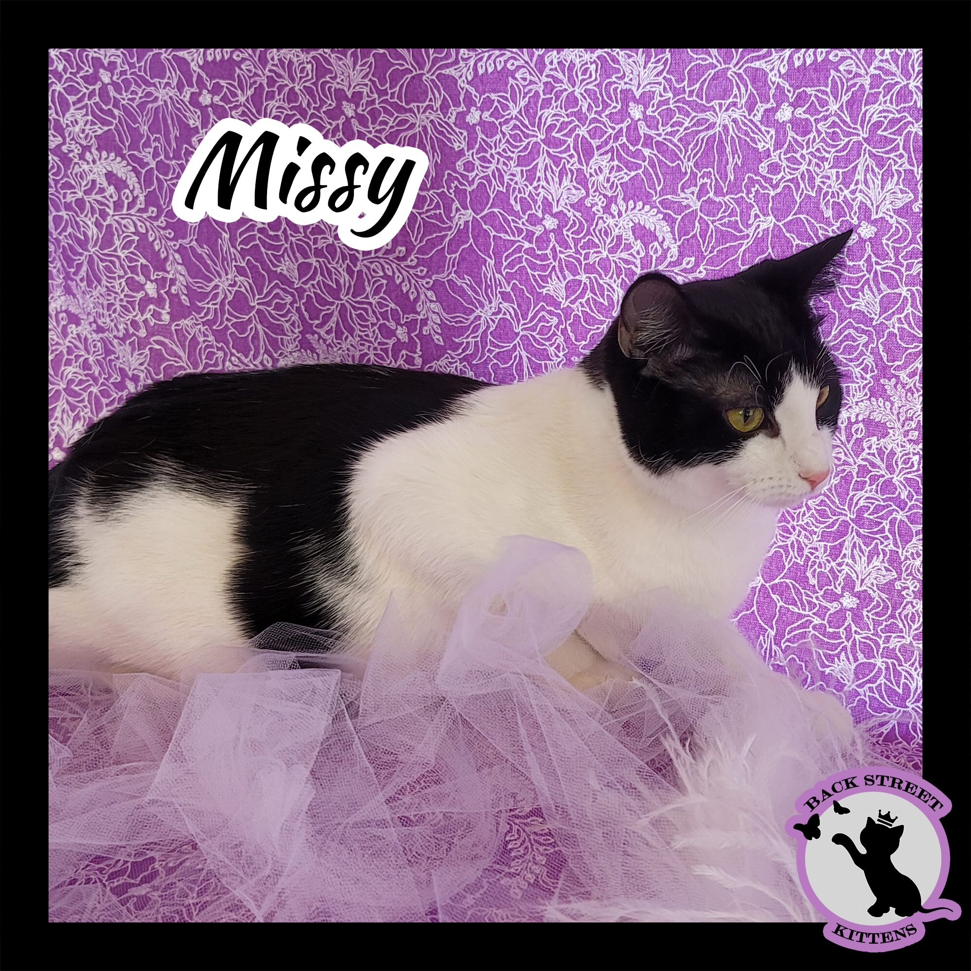Missy photo 2