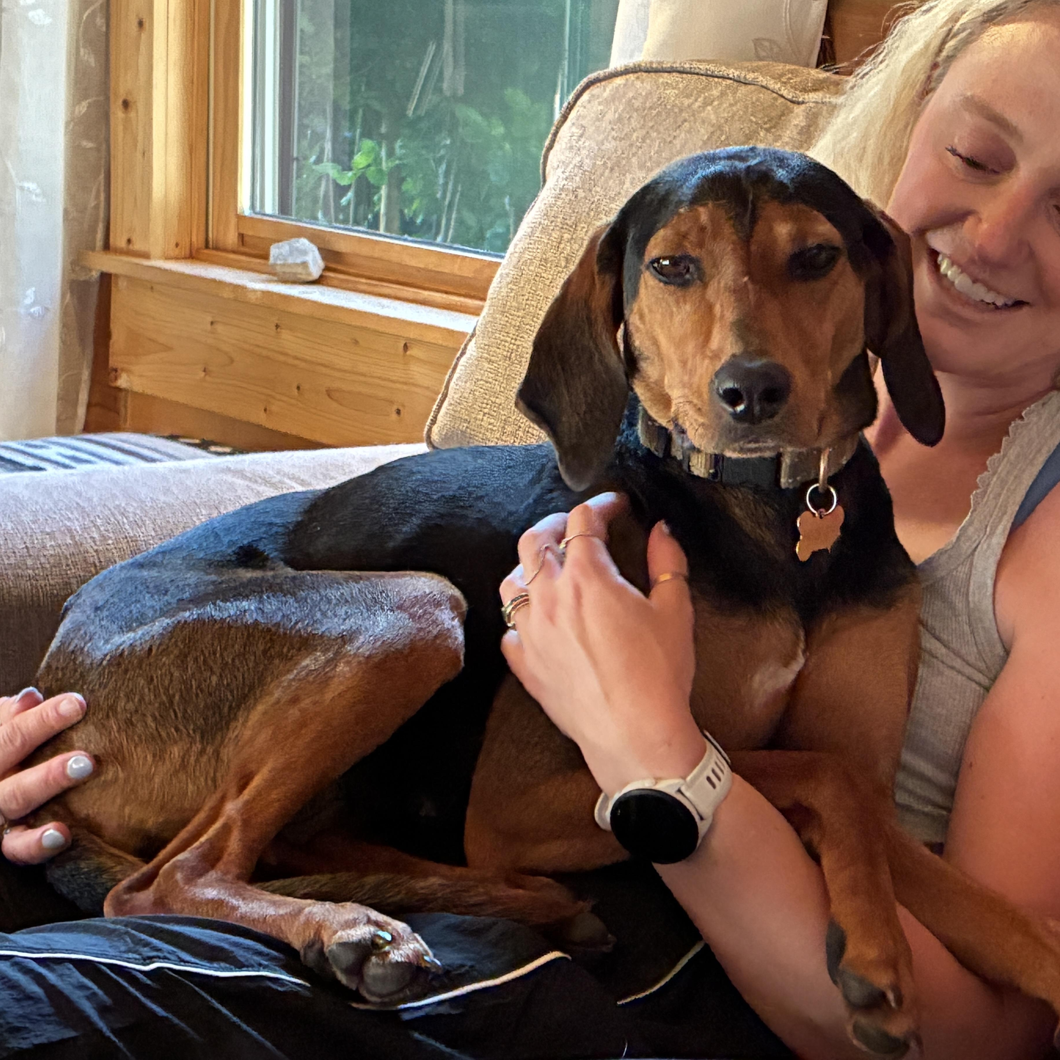 Kenya -- Community Post, ADOPTABLE, Adult Female Treeing Walker Coonhound & Mountain Cur.