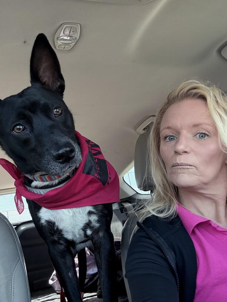 Enlarge Zepplin, a Adoptable mixed breed in Lockhart, TX image 4/5