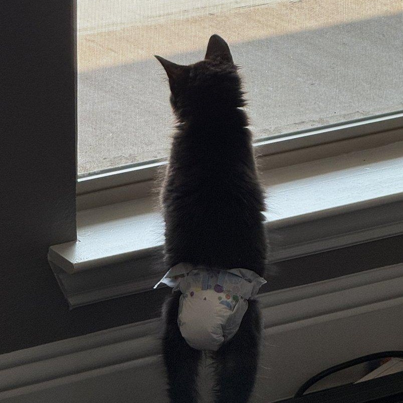 Rafiki