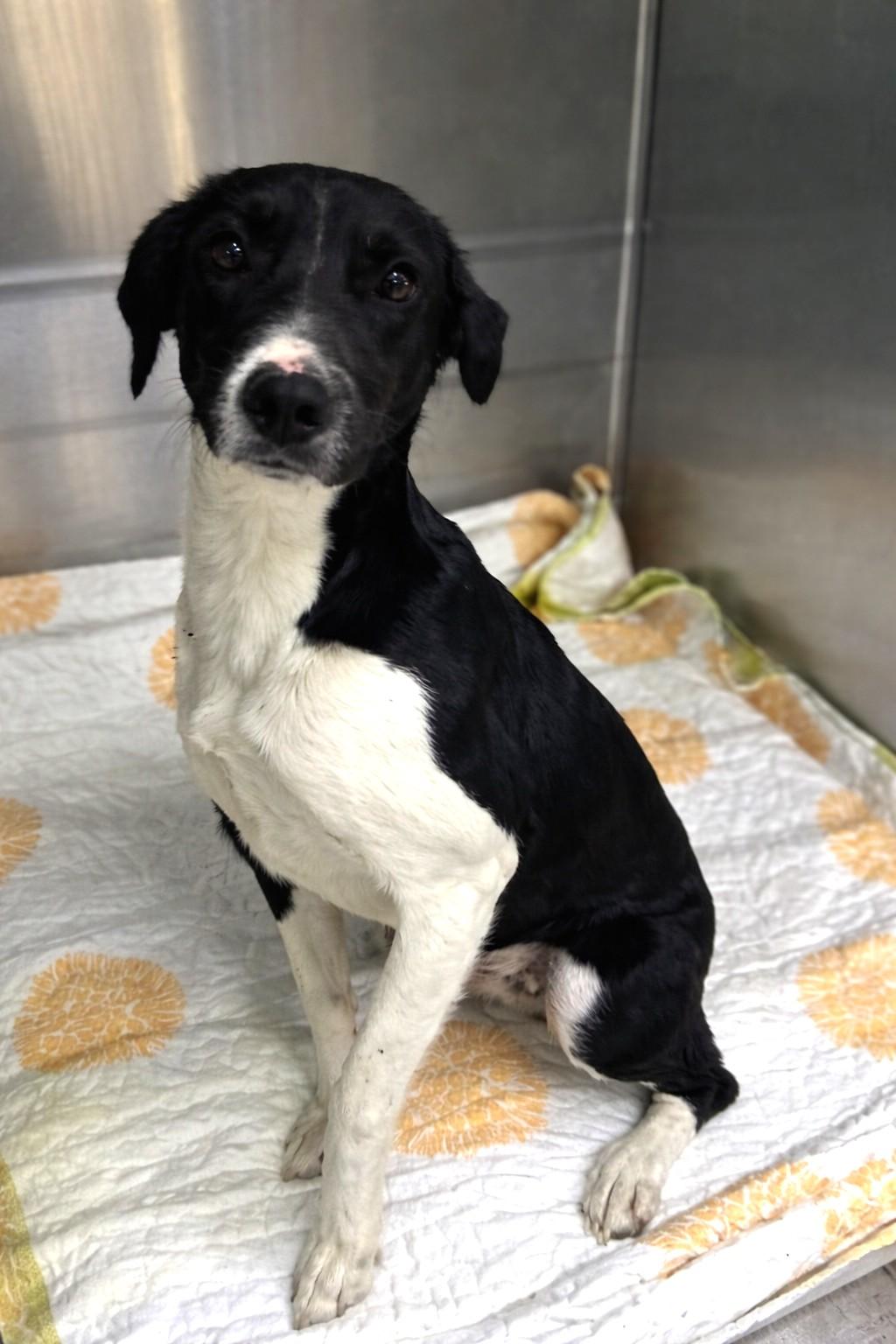 Gloria — thumbnail 2