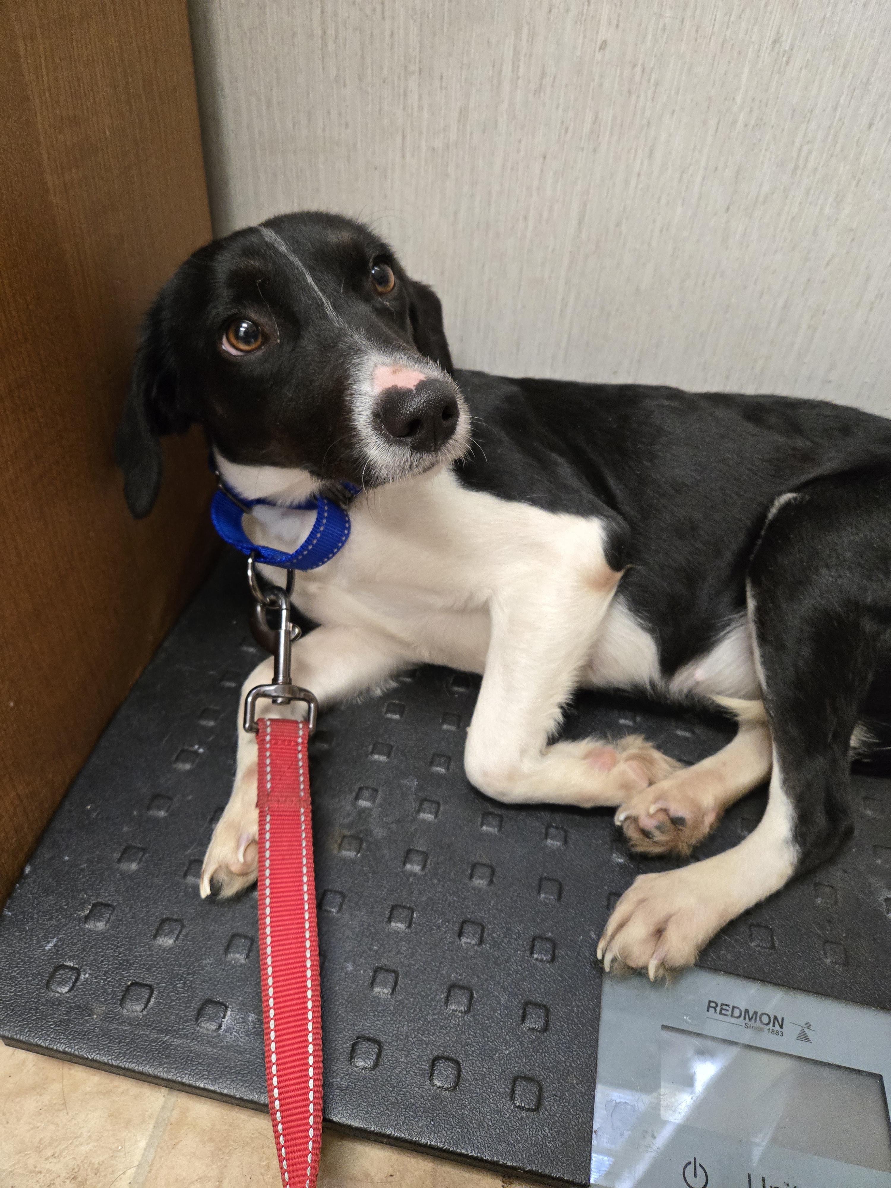 Gloria — thumbnail 4