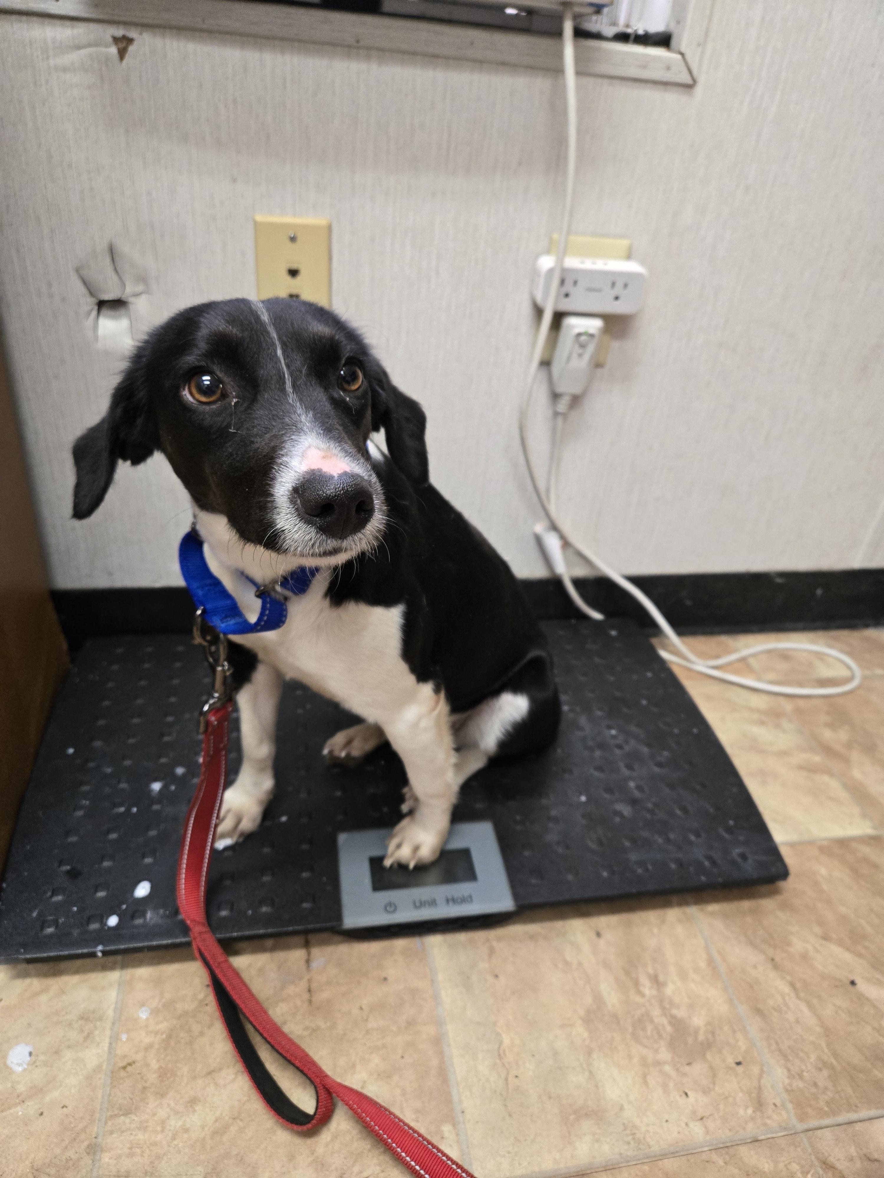 Gloria — thumbnail 5