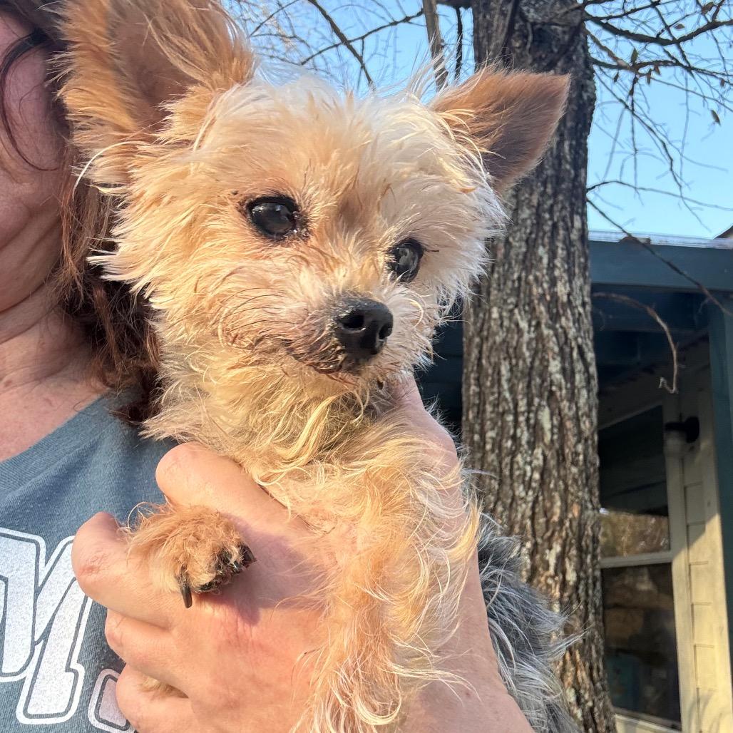 Wilbur — thumbnail 3