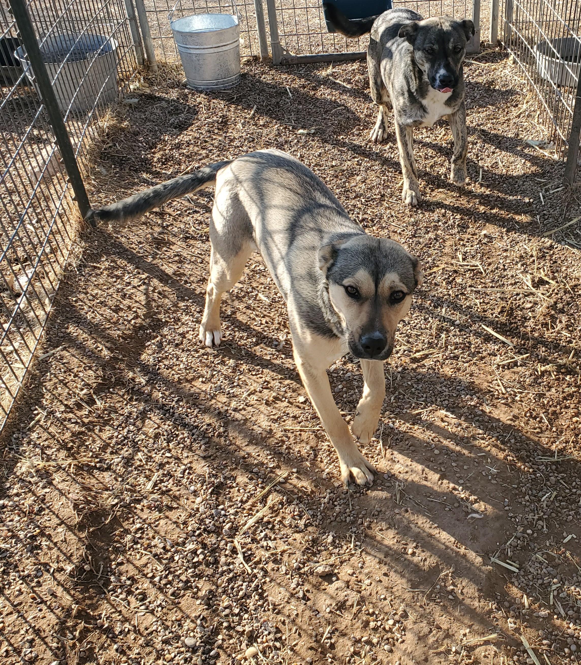 Lana — thumbnail 2