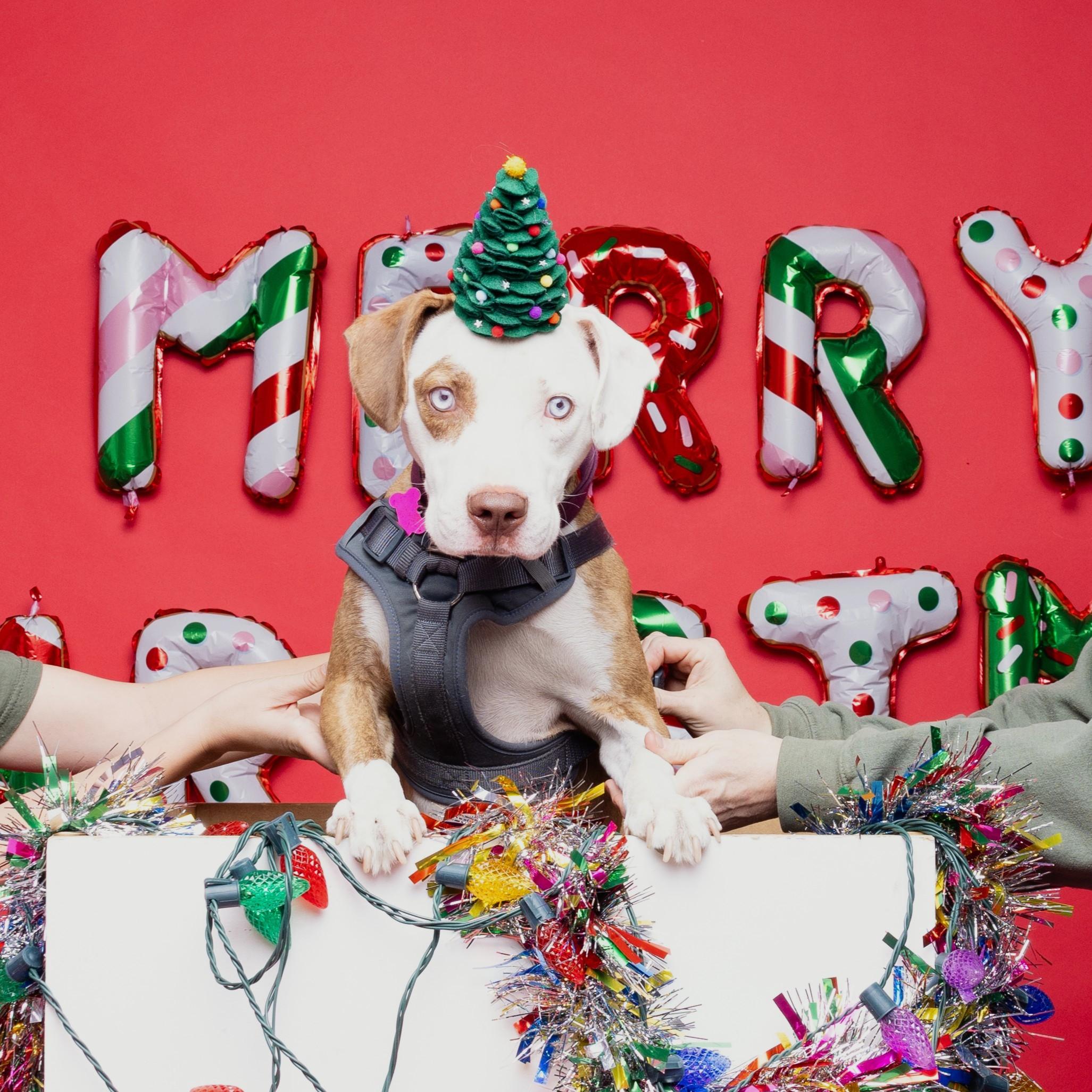 Helmet — thumbnail 3