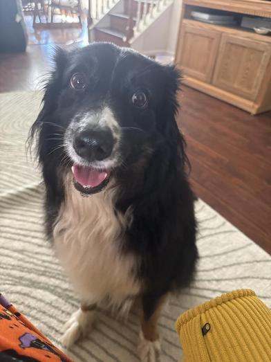 Jinu — thumbnail 2