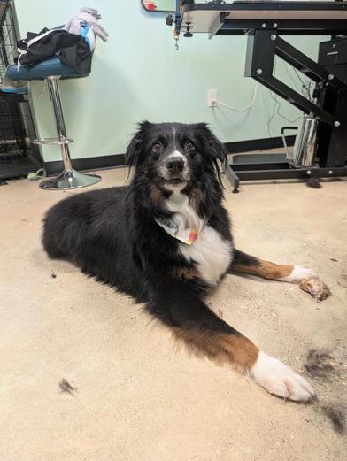 Jinu — thumbnail 4