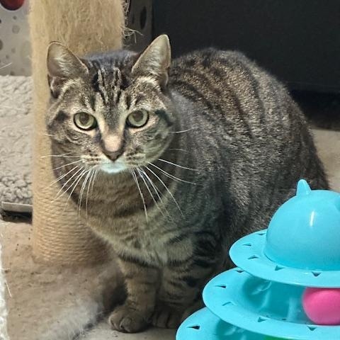 Squeaky - Bonded w/Peaches