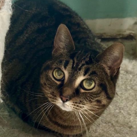 Squeaky - Bonded w/Peaches