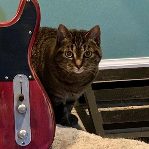 Squeaky - Bonded w/Peaches