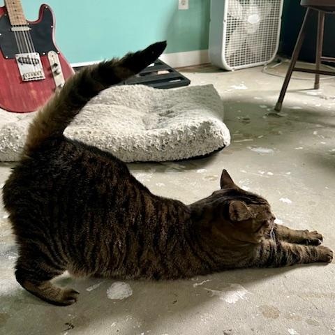 Squeaky - Bonded w/Peaches