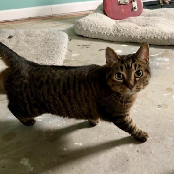 Squeaky - Bonded w/Peaches