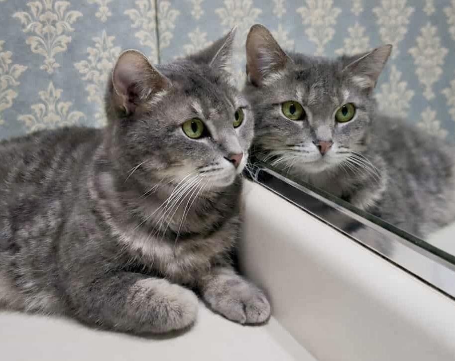 Uncle Grandpa — thumbnail 2