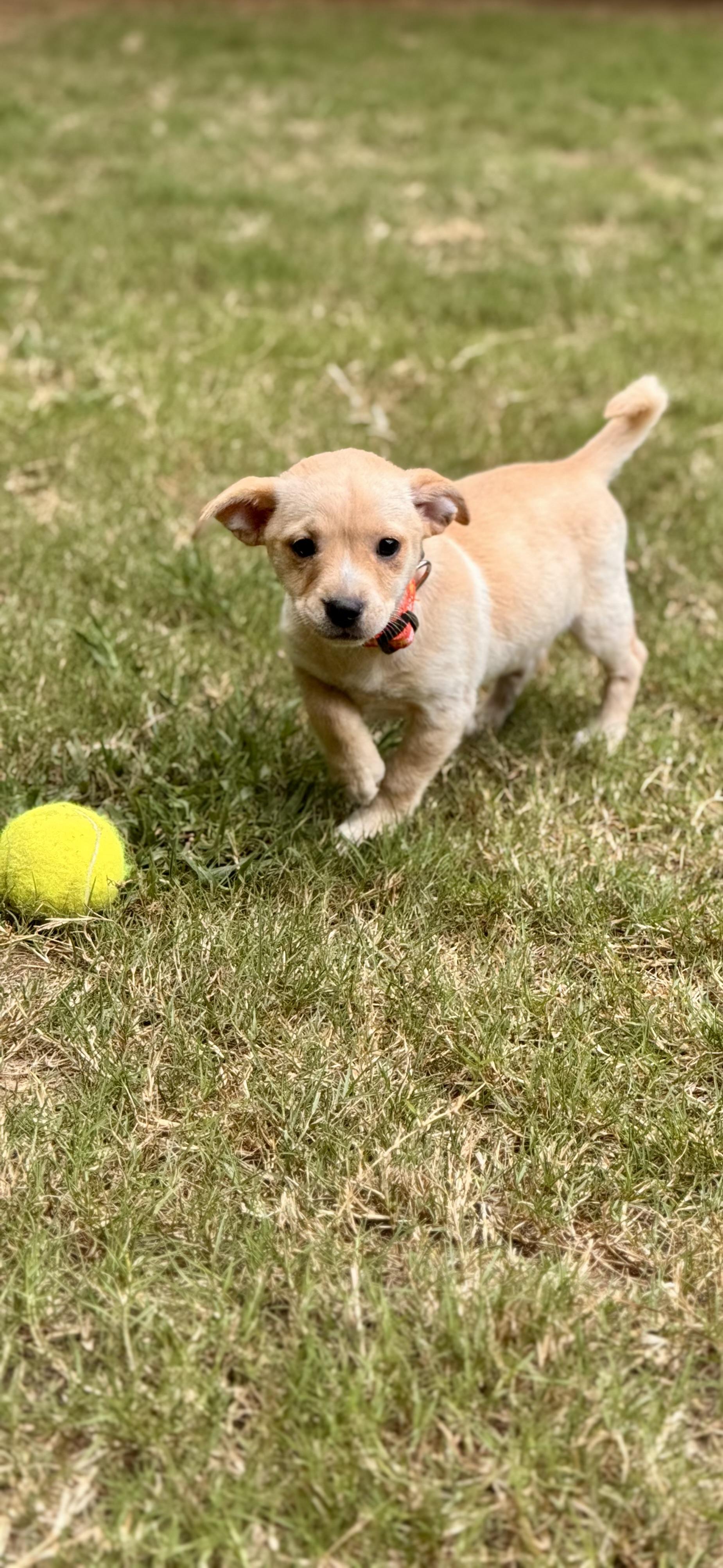 Izzy