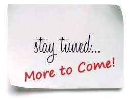 More coming soon!, adoptable, Adult Unknown African Grey & Amazon.