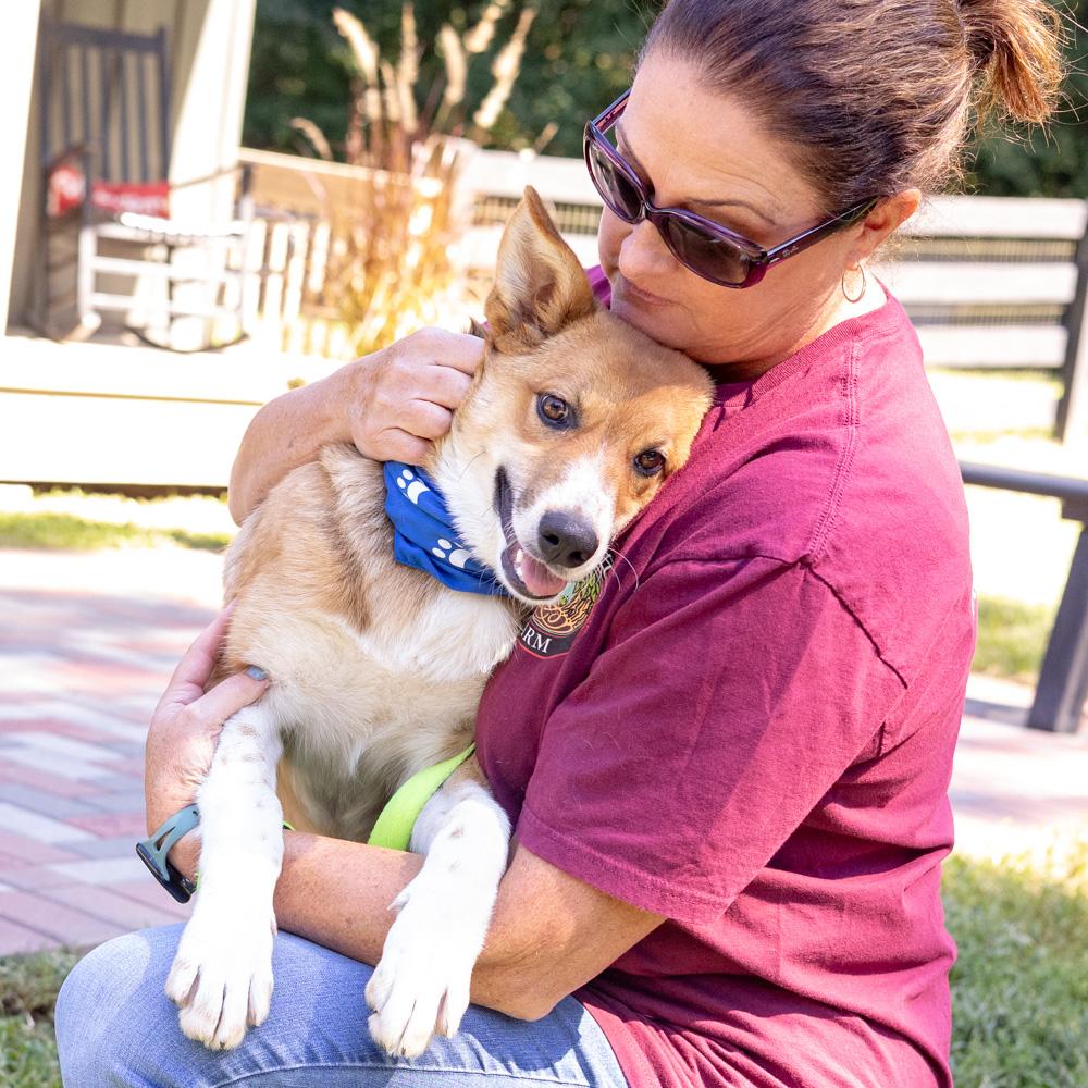 Enlarge Baxter (Male), a Adoptable mixed breed in West Grove, PA image 3/6