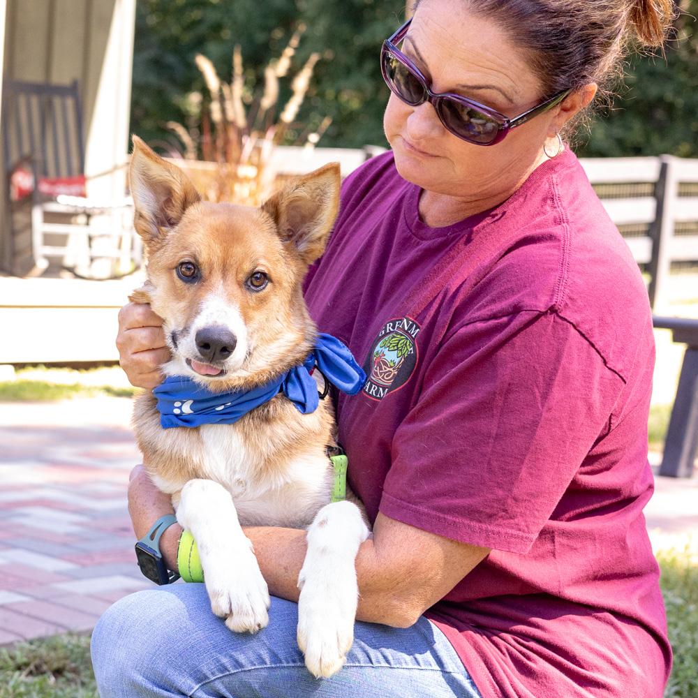 Enlarge Baxter (Male), a Adoptable mixed breed in West Grove, PA image 6/6