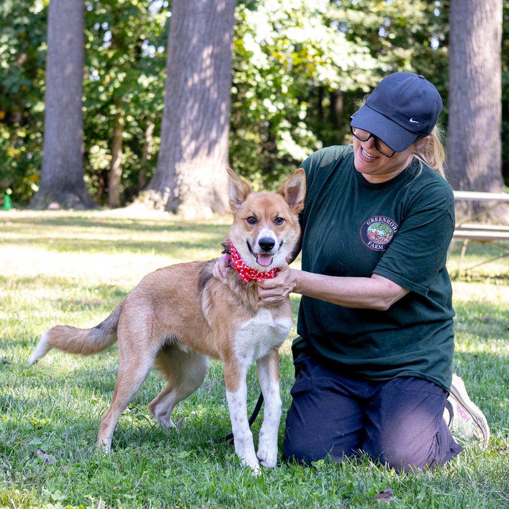 Enlarge Baxter (Male), a Adoptable mixed breed in West Grove, PA image 2/6