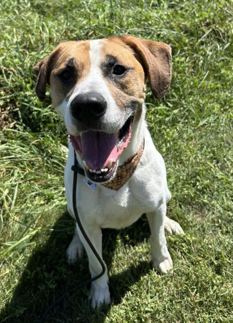 Opie
