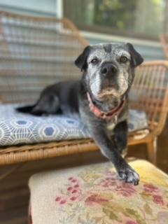 Winnie